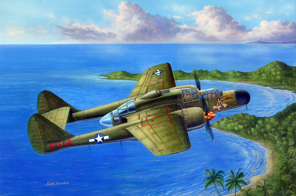 1/48  P-61A Black Widow