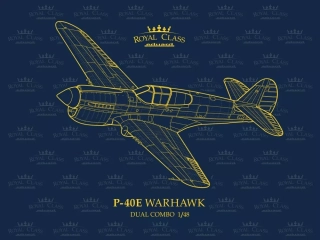 1/48 P-40E Warhawk DUAL COMBO (ROYAL CLASS)***