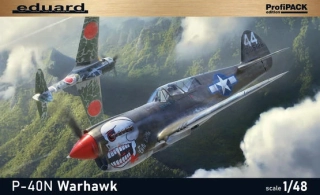 1/48  P-40N Warhawk